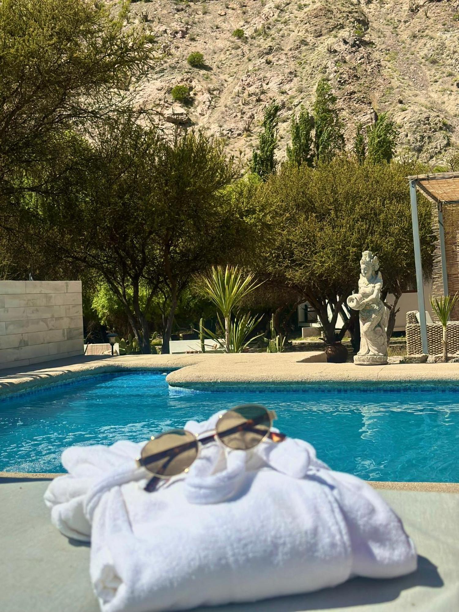 Aldea Del Valle - Elqui Villas, Писко-Эльки Экстерьер фото