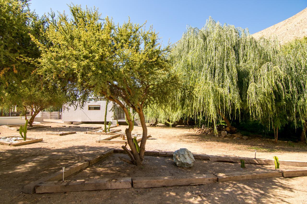 Aldea Del Valle - Elqui Villas, Писко-Эльки Экстерьер фото