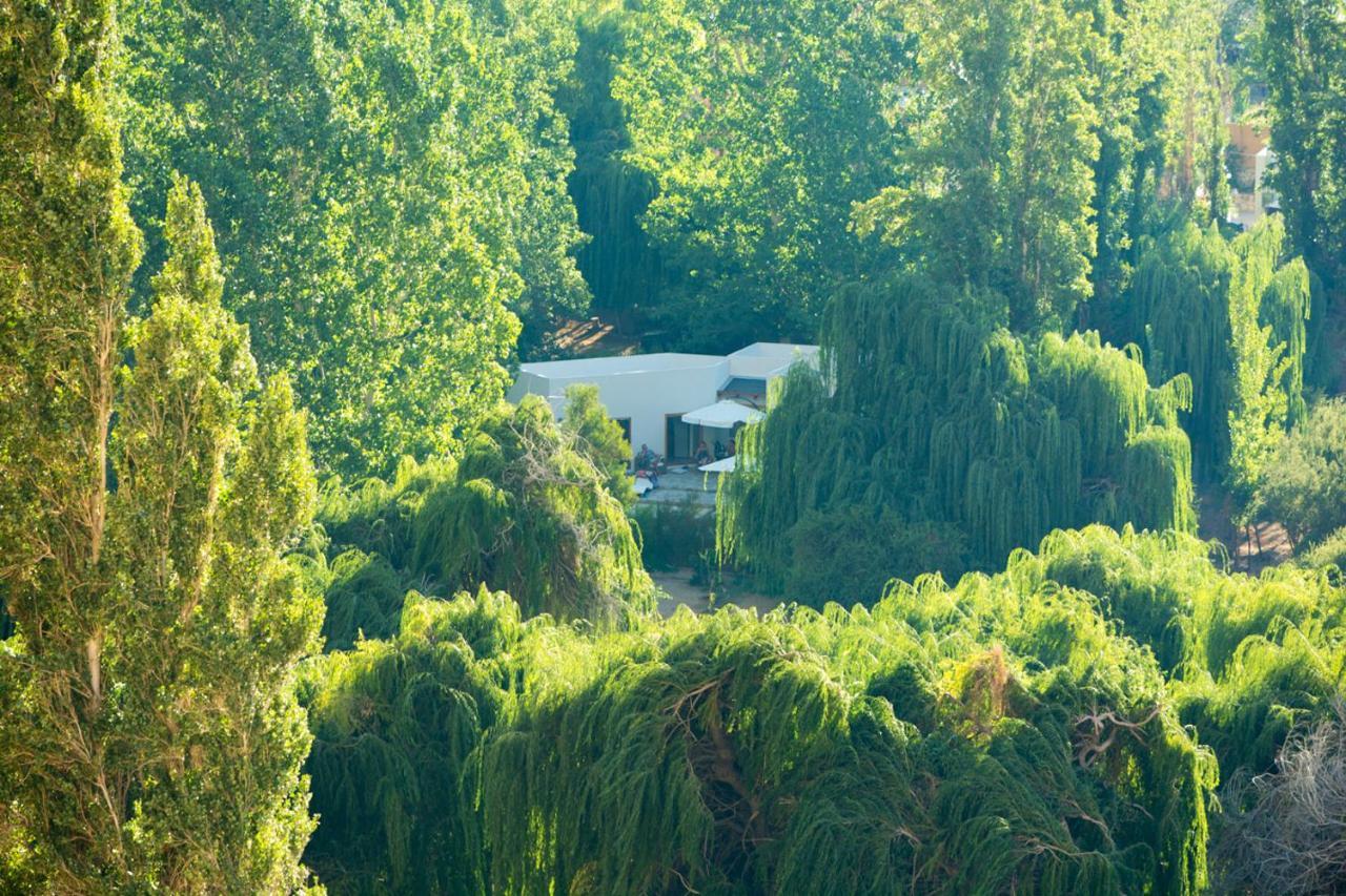 Aldea Del Valle - Elqui Villas, Писко-Эльки Экстерьер фото