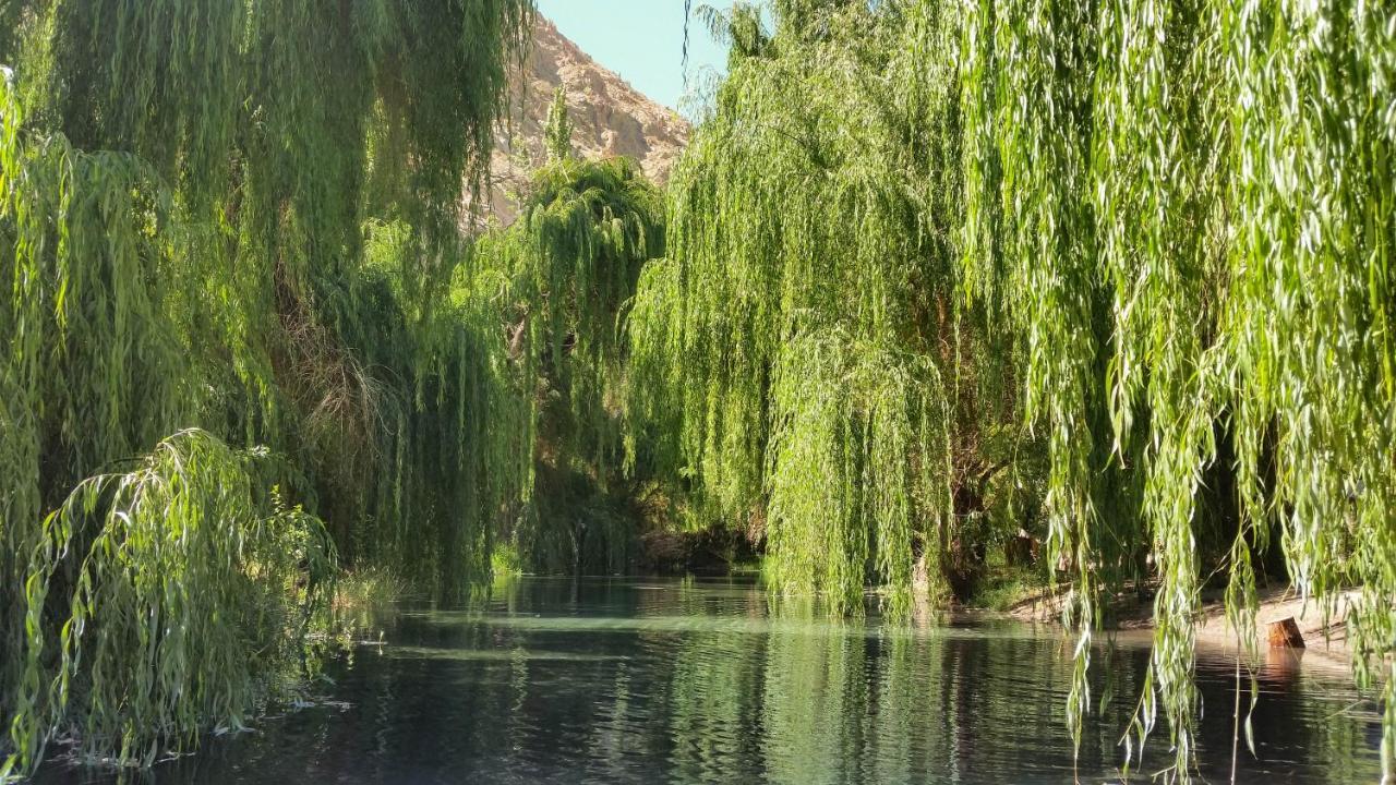 Aldea Del Valle - Elqui Villas, Писко-Эльки Экстерьер фото